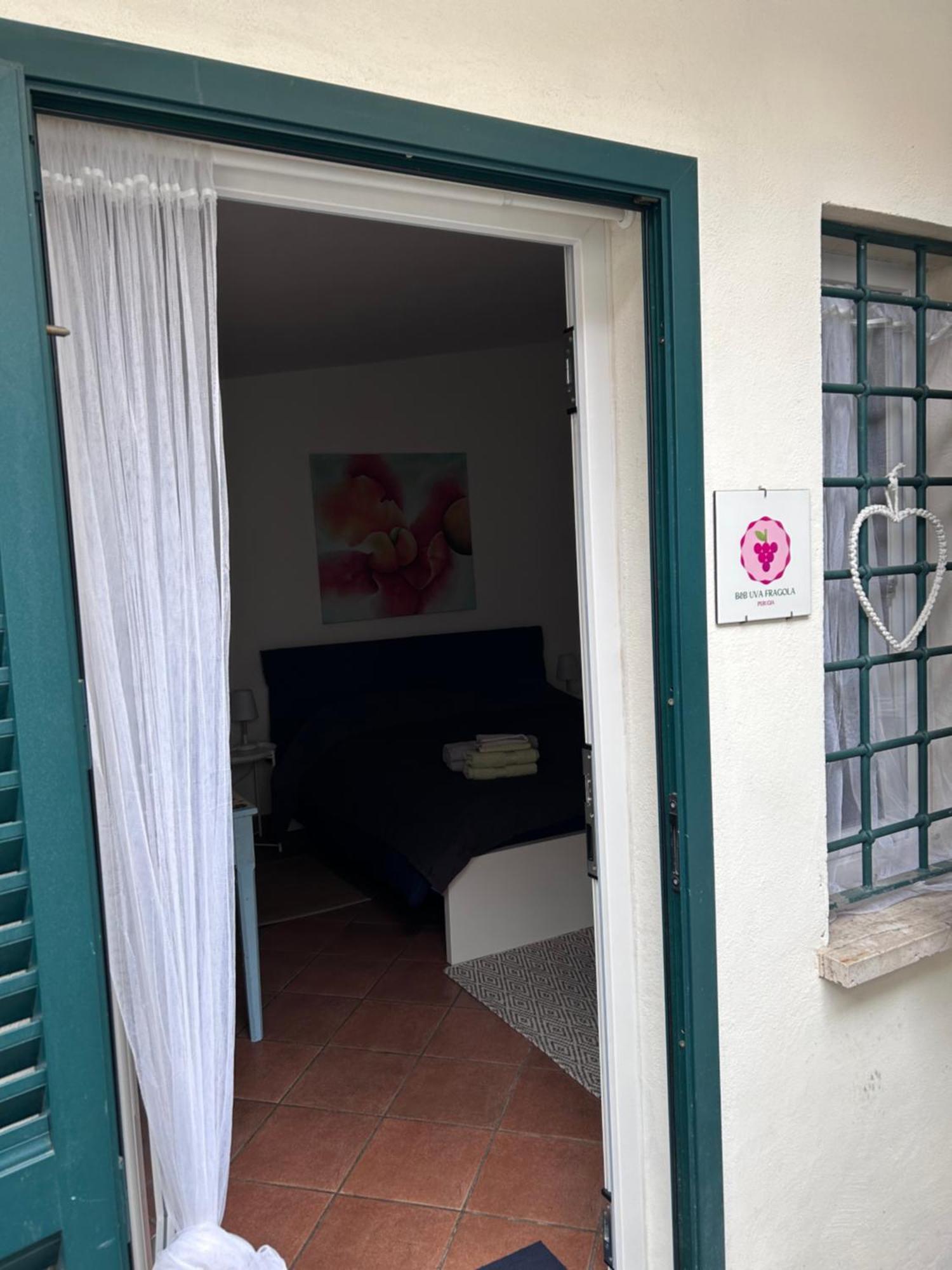 Uva Fragola Perugia
